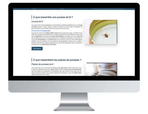 exemple site internet vitrine punaise experts blog