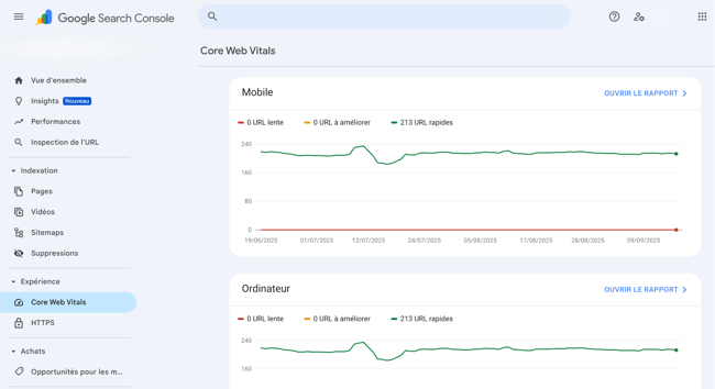 visuel google search console core web vitals