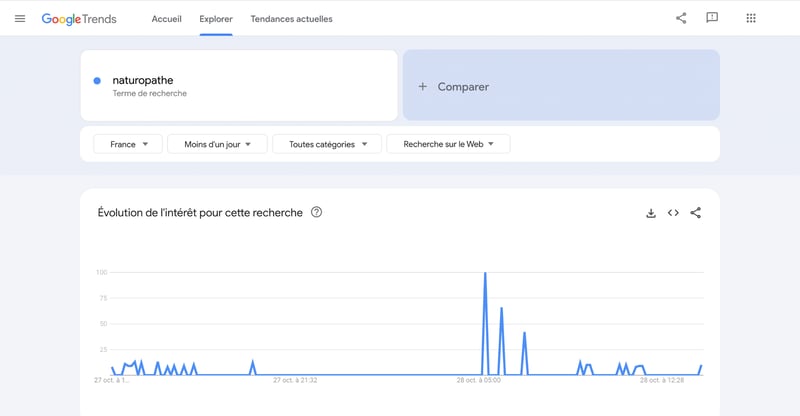 Capture google trends analyse performances site internet