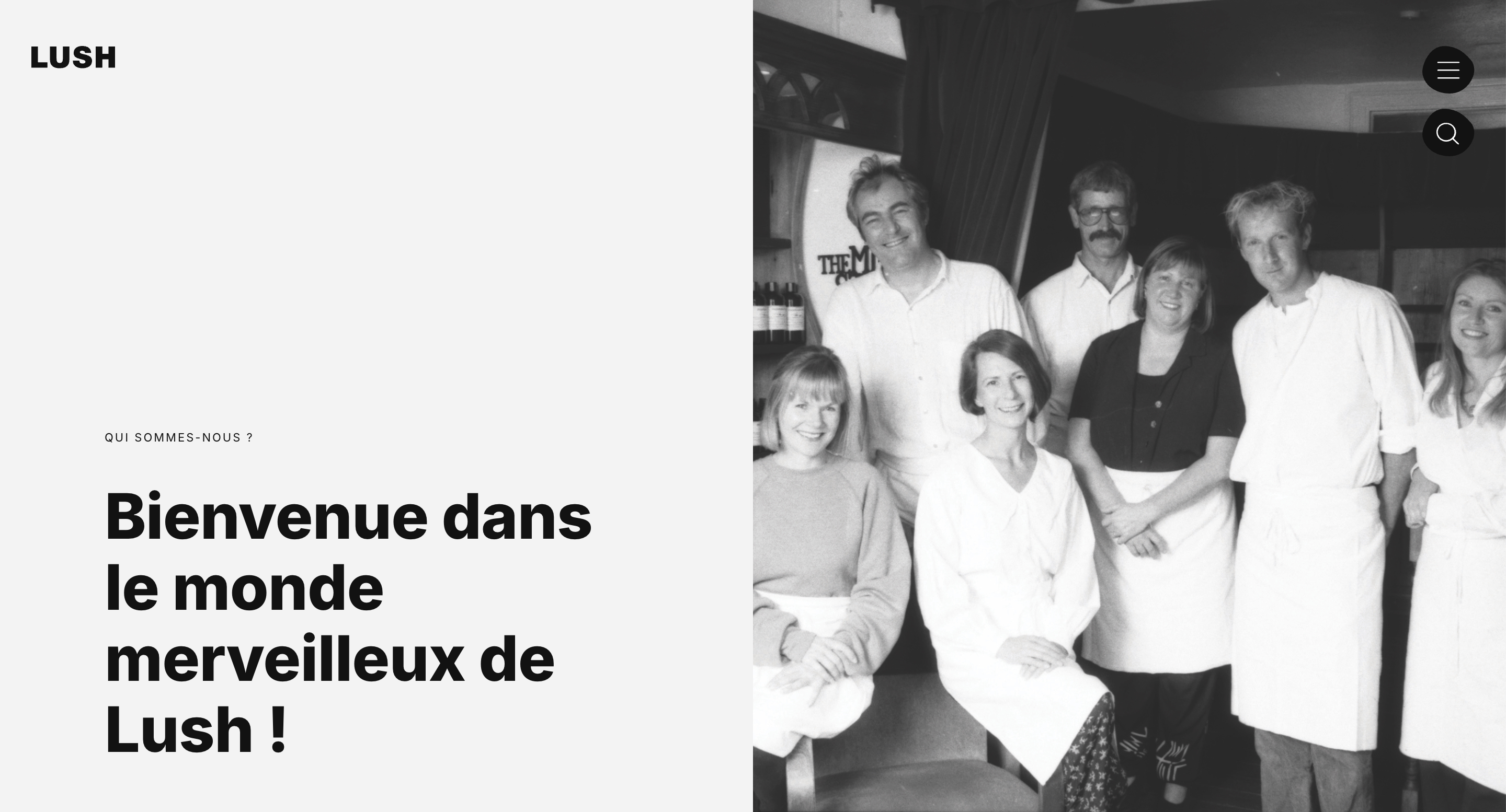 exemple page à propos lush