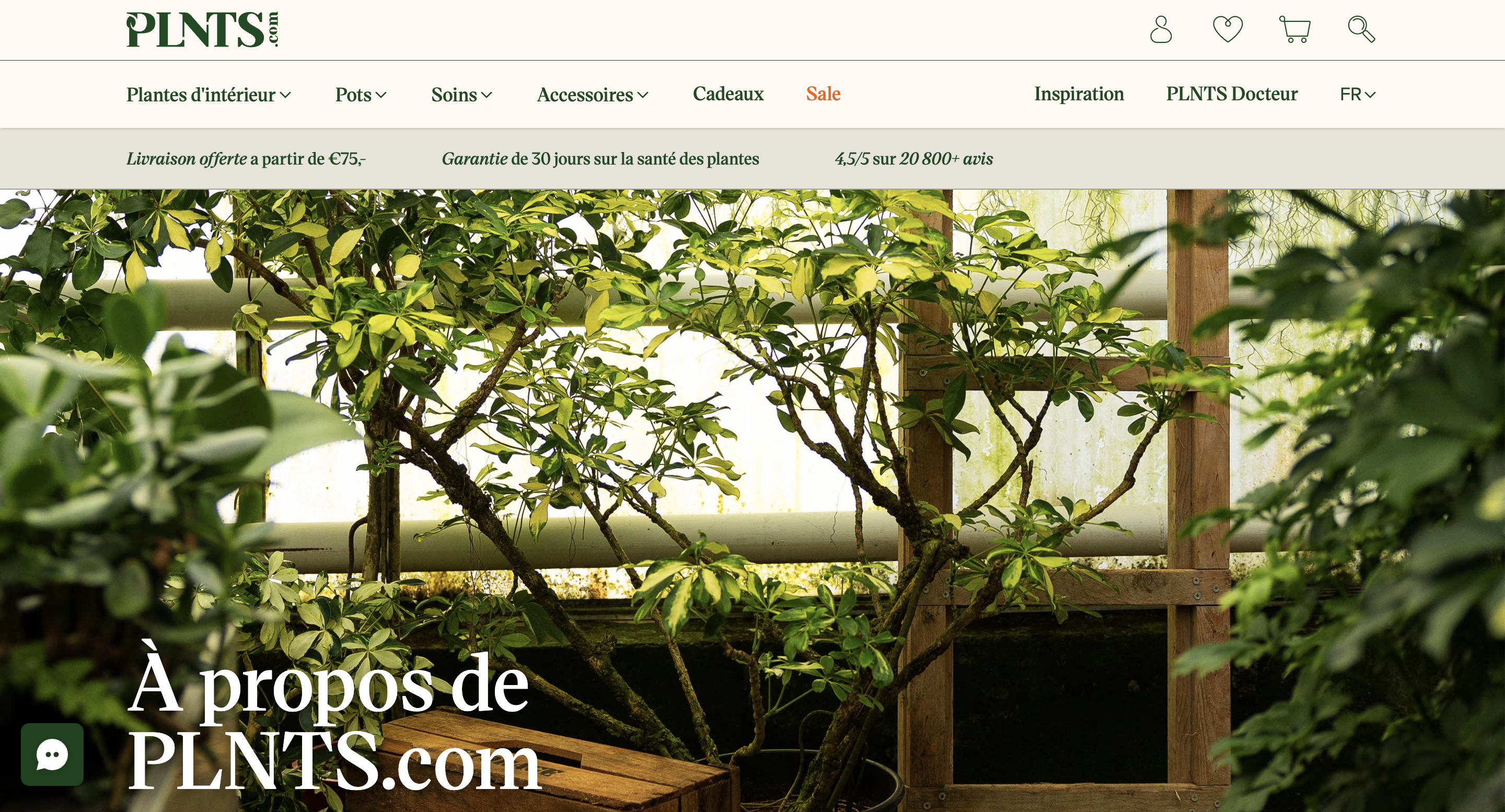 page à propos plnts