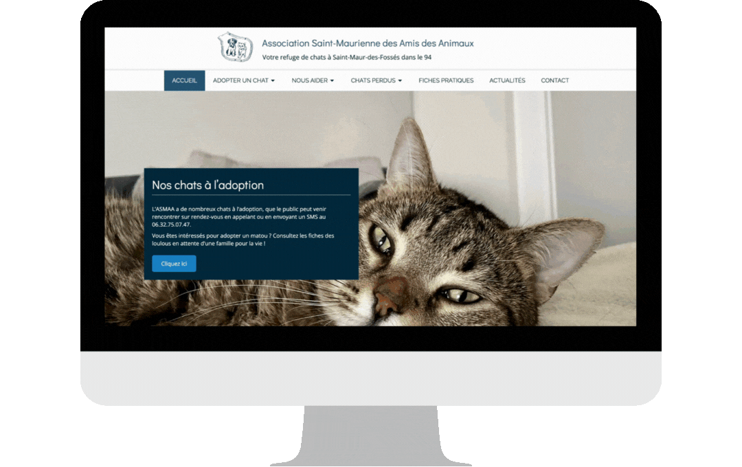 exemples site web association animaux saint maure