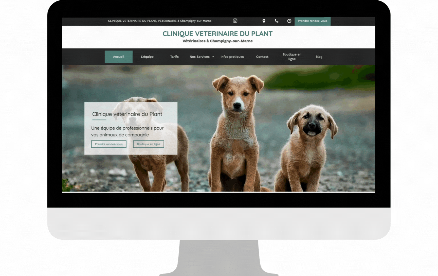 Clinique vétérinaire du Plant exemple site internet capture vidéo
