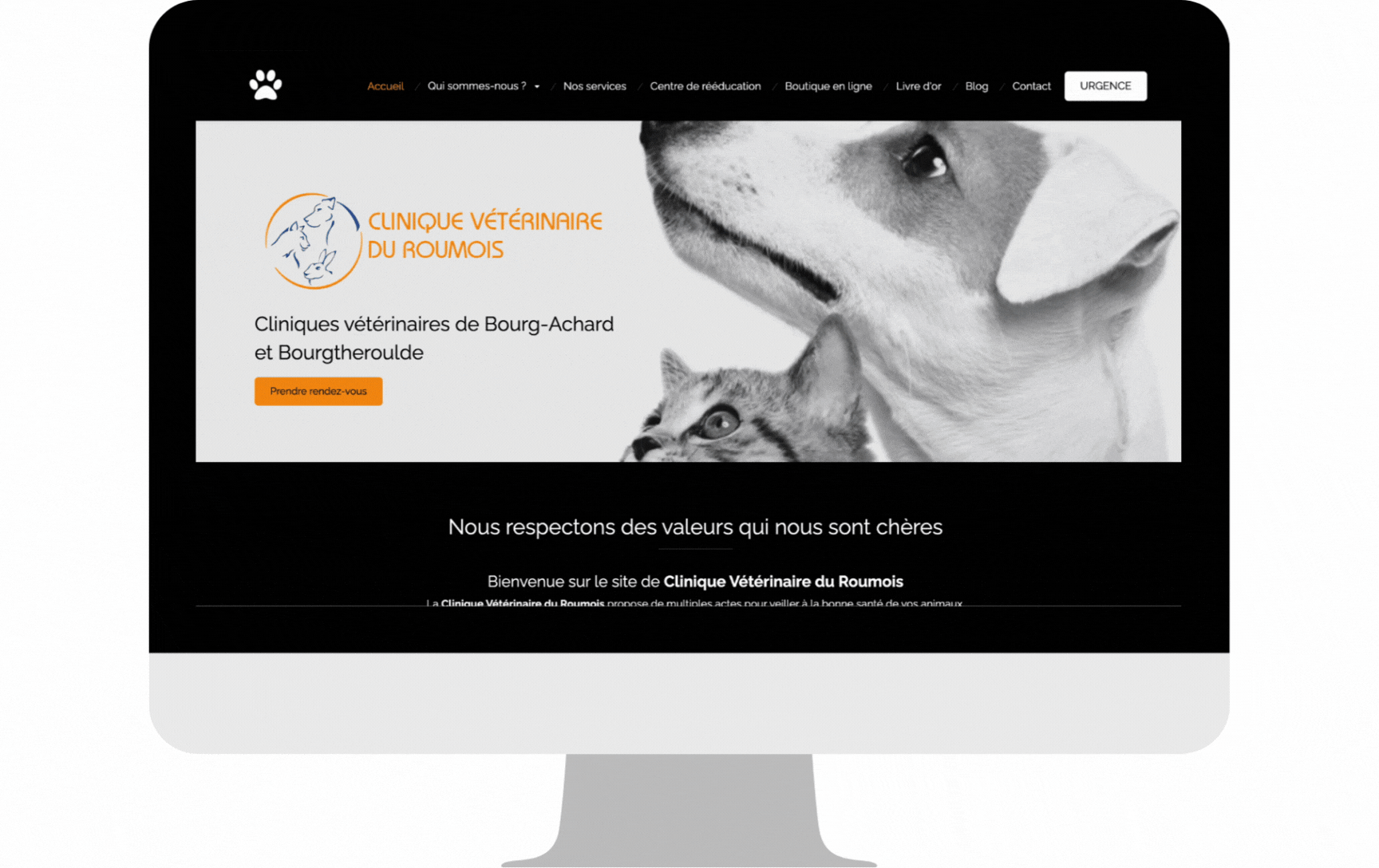 Capture site internet de vétérinaire Roumois