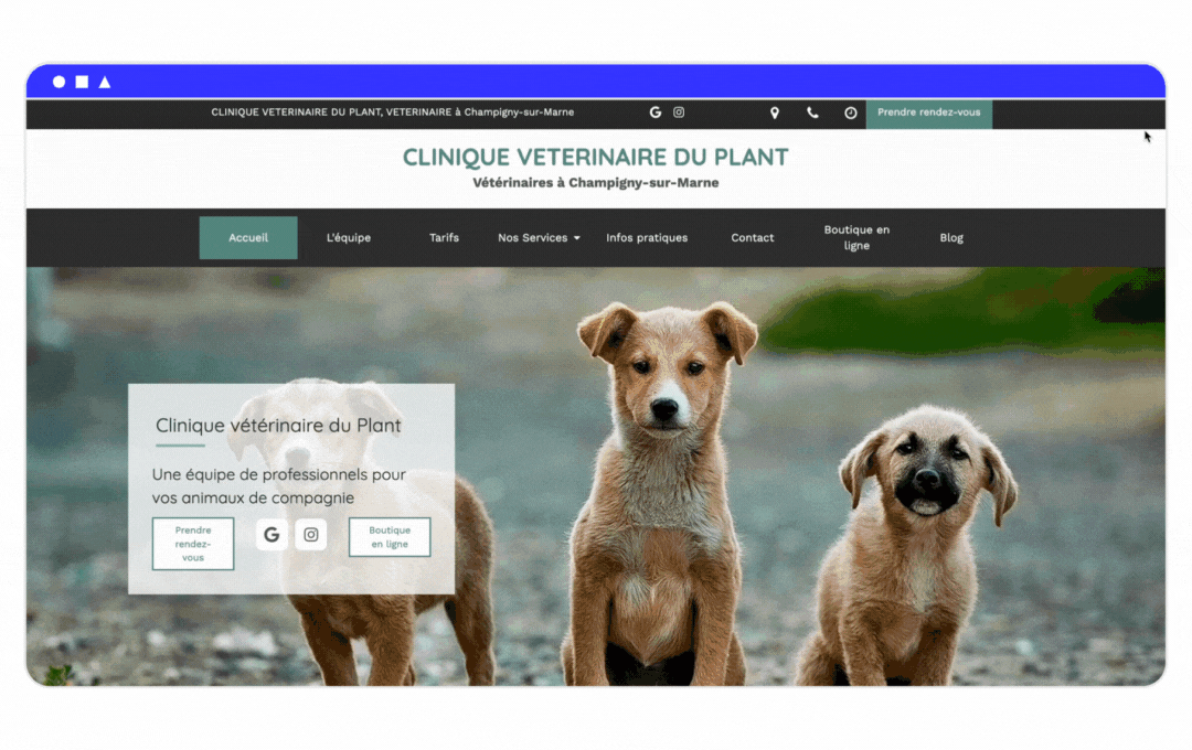clinique-du-plant-veterinaire