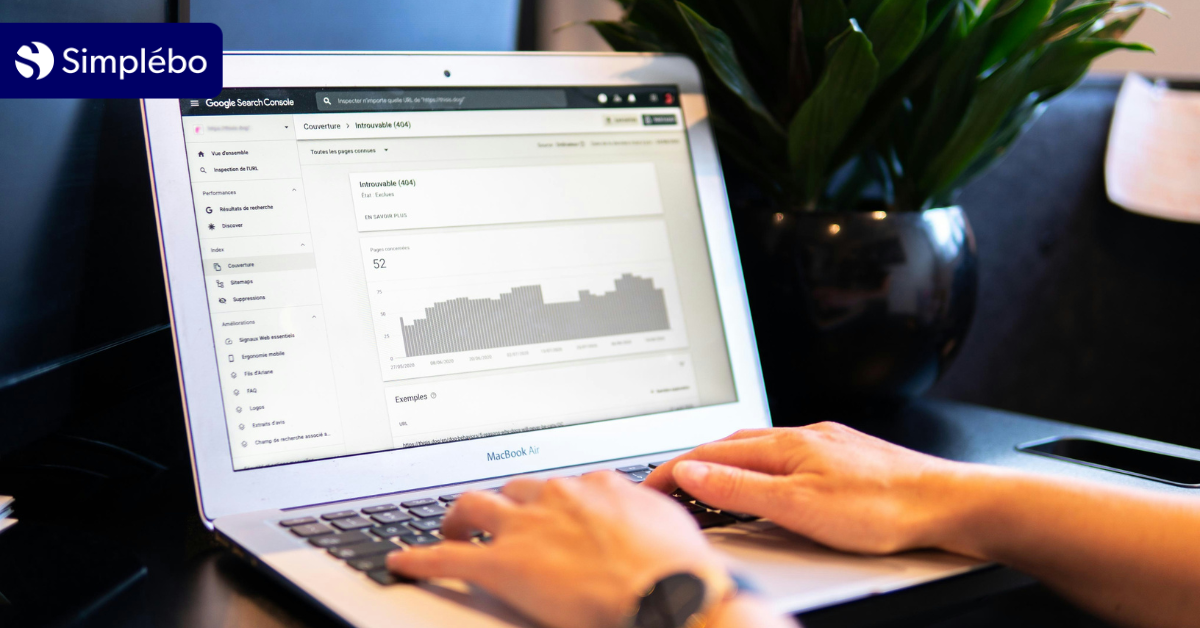utilisation fonctionnalités google search console