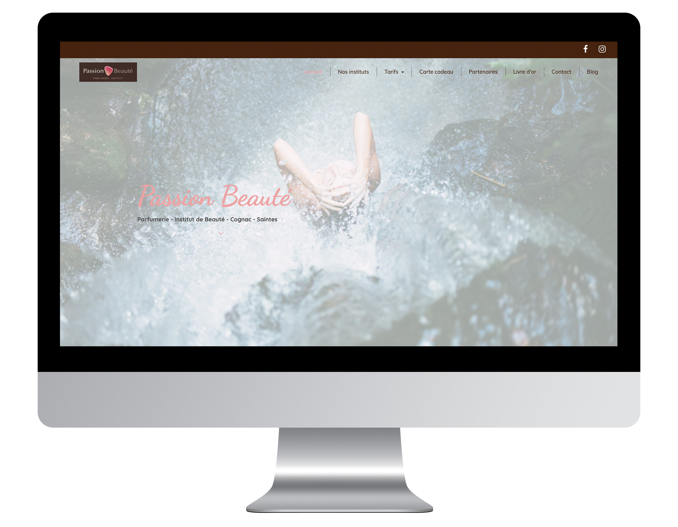 exemple site internet institut beauté passion beauté cognac